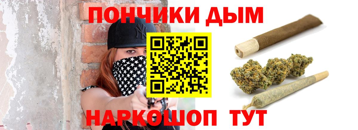 Каннабис сатива Курчатов